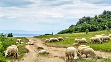 Albania bez pośpiechu