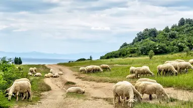 Albania bez pośpiechu
