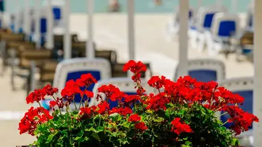 Albanian Star Hotel