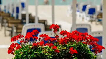 Albanian Star Hotel