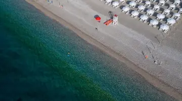 Albatros Beach