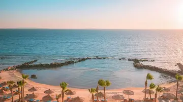 ALBATROS CITADEL SAHL HASHEESH