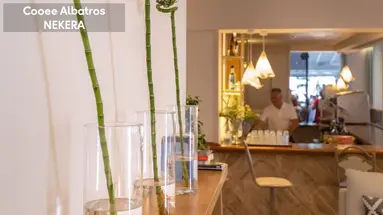 ALBATROS HOTEL