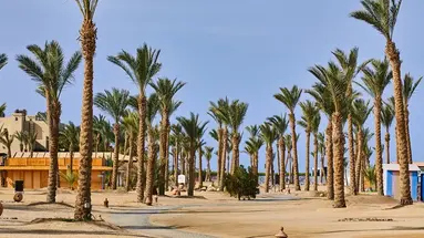 ALBATROS PALACE PORT GHALIB