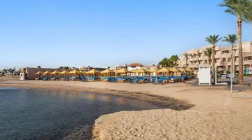 Albatros Palace Resort & Spa