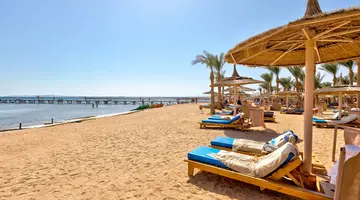 Albatros Palace Resort