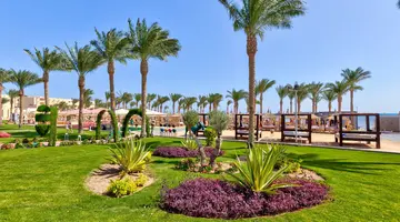 Albatros Palace Resort