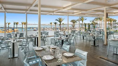 ALBATROS PALACE RESORT