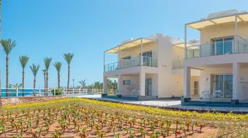 Albatros Royal Grand Sharm (Adult Only 16+)