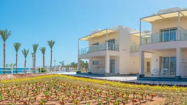 Albatros Royal Grand Sharm (Adult Only 16+)