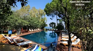 Alberi del Paradiso