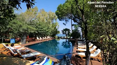 Alberi del Paradiso