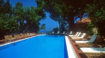 Alberi Del Paradiso