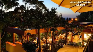 Alberi del Paradiso