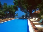 Alberi Del Paradiso