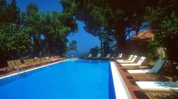 Alberi Del Paradiso