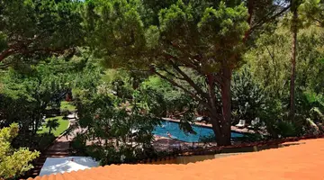 Alberi del Paradiso