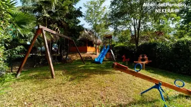 Alberi del Paradiso