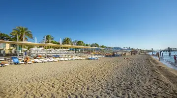 ALDER GARDEN HOTEL