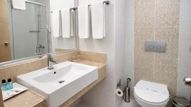 ALDER RESORT HOTEL