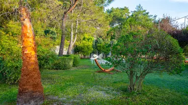 ALDER RESORT HOTEL