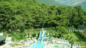 Alder Resort Hotel