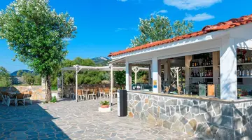 Alea & Suites