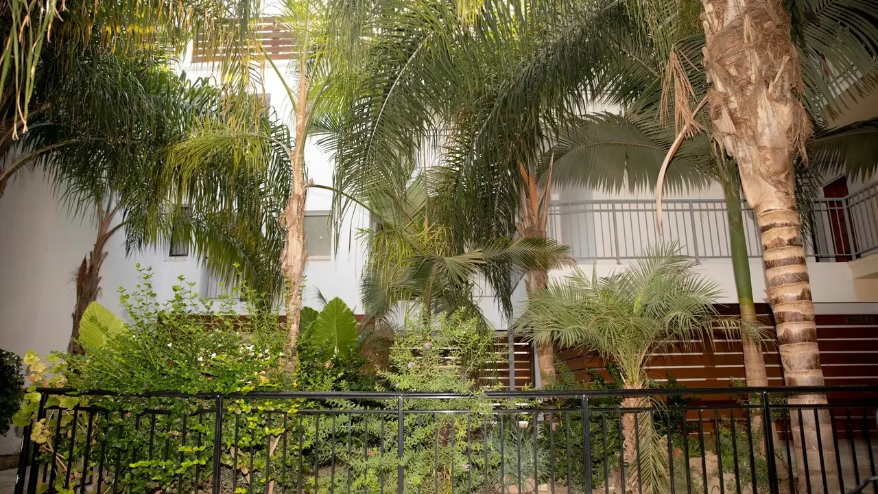 Alecos Hotel Apartments