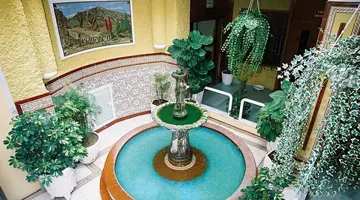 ALEGRIA Barranco