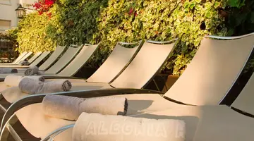 ALEGRIA FENALS MAR (ADULTS ONLY 18+)