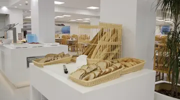 Alegria Fenals Mar