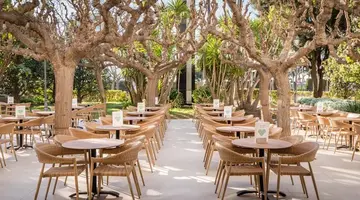 ALEGRIA Florida and Spa