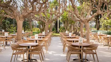 ALEGRIA FLORIDA PARK