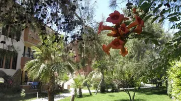 Aleria Belport Beach Hotel