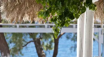 Alesahne Beach Hotel