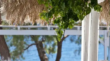 Alesahne Beach Hotel