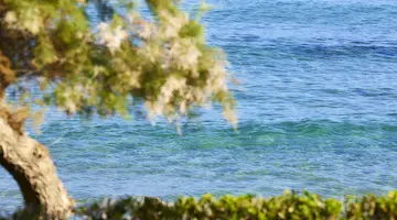ALEXANDER BEACH HOTEL AND VILLAGE RESORT