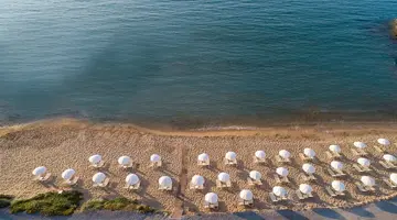 Alexander Beach Hotel & Village Resort