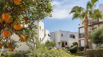 Alexander Beach Hotel & Village Resort