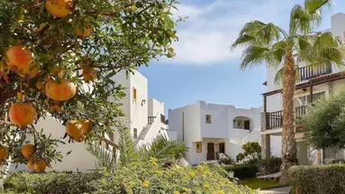 Alexander Beach Hotel & Village Resort
