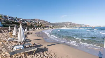 Alexander Beach Hotel