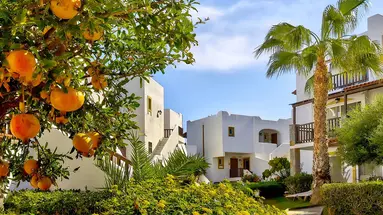 Alexander Beach Kreta