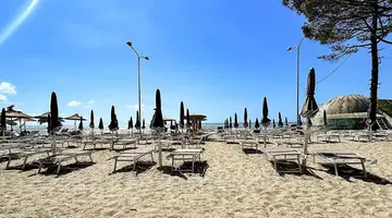 ALEXANDER RESORT