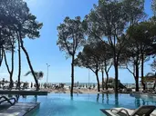 ALEXANDER RESORT