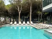 ALEXANDER RESORT