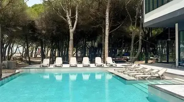 ALEXANDER RESORT