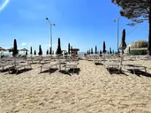 Alexander Resort