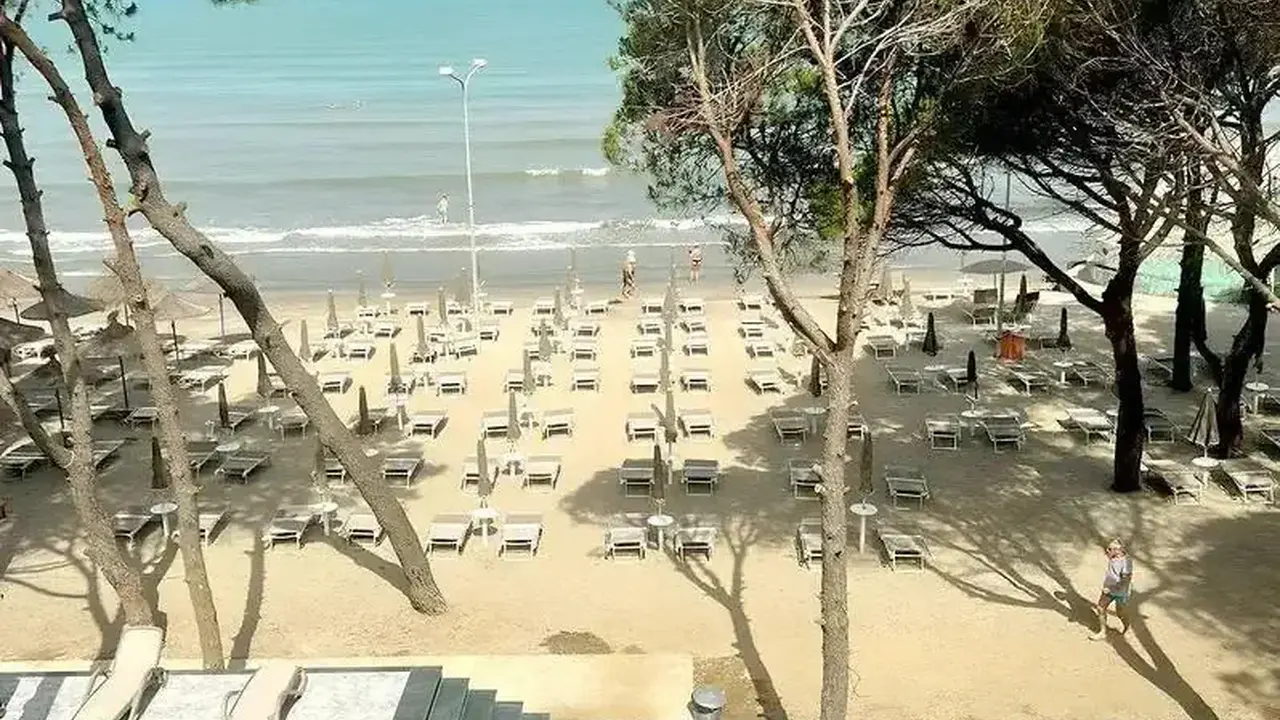 ALEXANDER RESORT