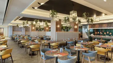 Alexander the Great Hotel