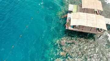 ALEXANDER THE GREAT RESORT